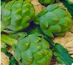 Стручковая фасоль(спаржевая)