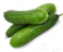 Семена огурцов